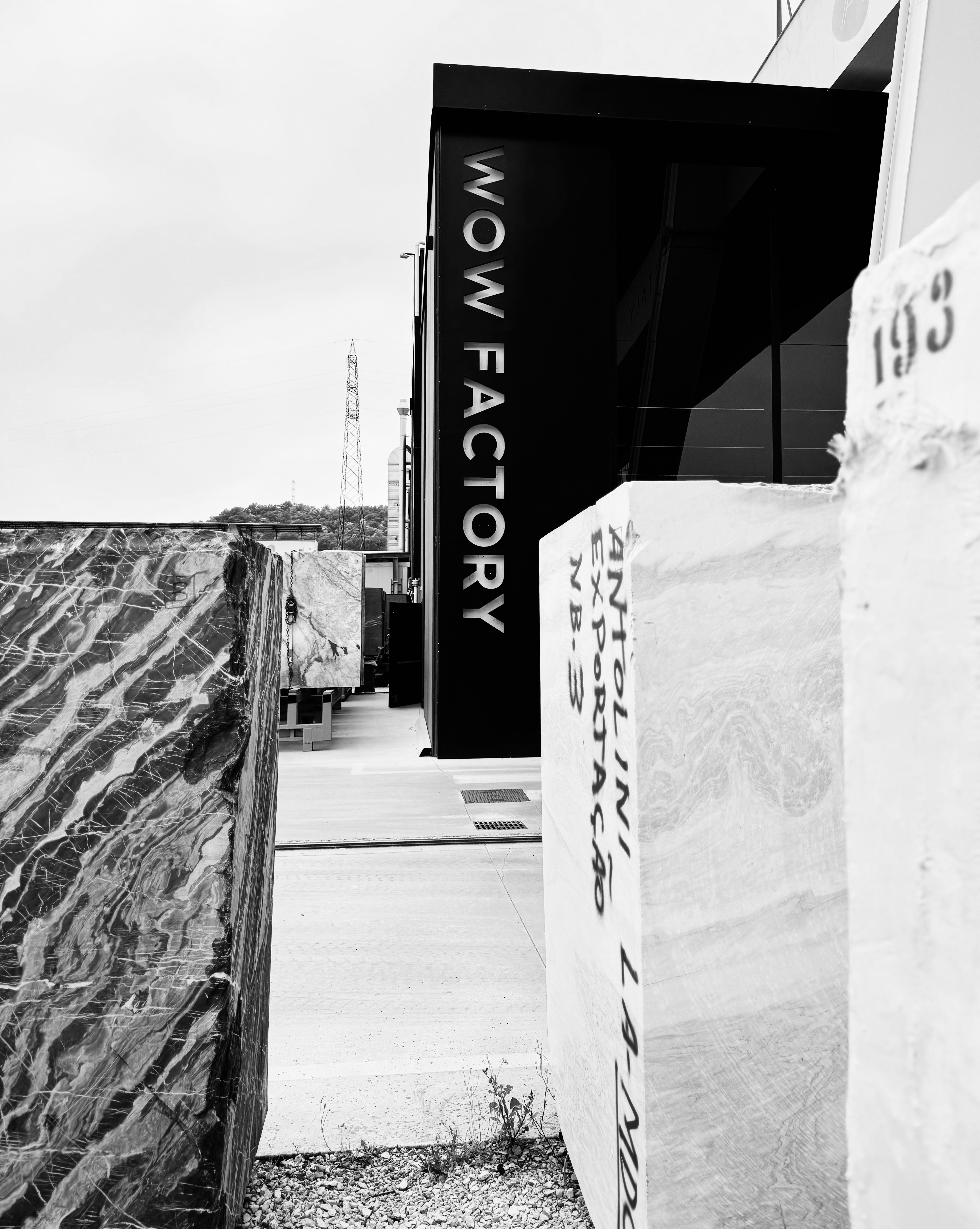 WhatsApp Image 2025-08-21 at 15.30.08 (3)